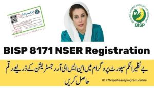 BISP 8171 NSER Registration Check Online By CNIC